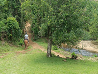 Passeio de Cavalo